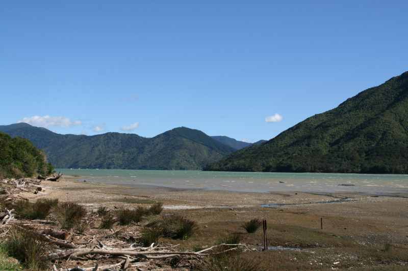 Nieuw-Zeeland 2011 - 0963